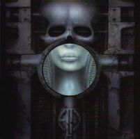 激安人気新品 HR.GIGER 恐怖の頭脳改革 リトグラフ 絵画/タペストリ